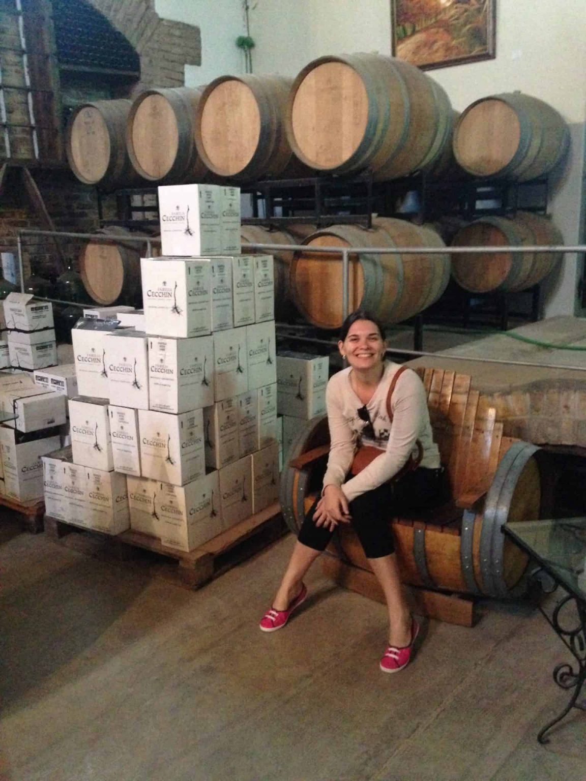 Wine Bike Tour Conhecendo Vin Colas No Vale Do Maip Em Mendoza