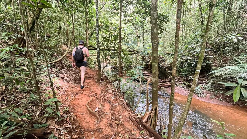 Trilha Cachoeira do Bugio