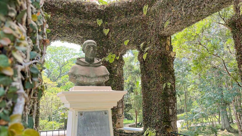 Cômoro do Frei Leandro no Jardim Botânico do Rio