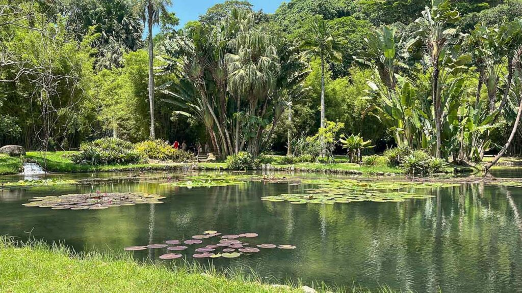 Jardim Botânico do Rio de Janeiro