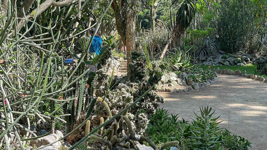 Cactário do Jardim Botânico do Rio de Janeiro