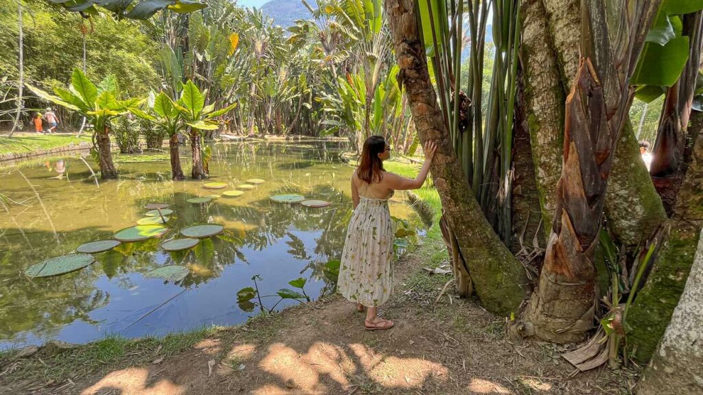 Lago Frei Leandro Jardim Botânico do Rio