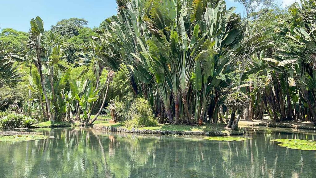 Jardim Botânico do Rio de Janeiro