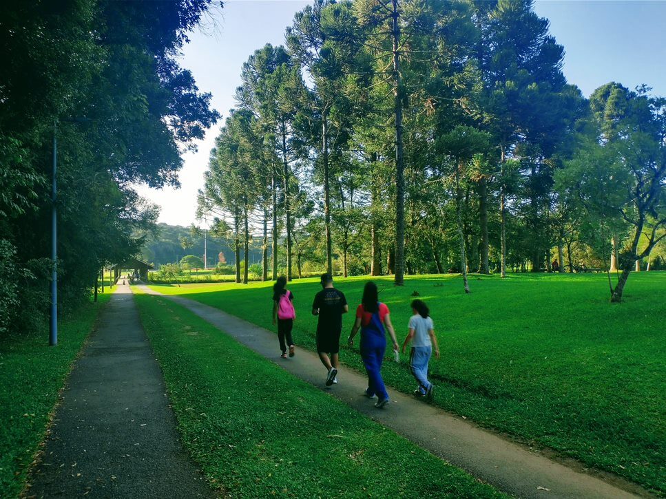 Onde fazer piquenique em Curitiba