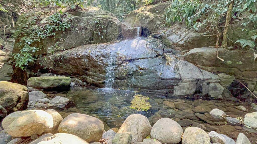 Cachoeirinha, trilha da CAchoeira 7 Quedas