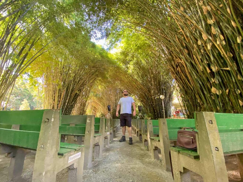 Catedral de Bambu Parque das Águas São Lourenço