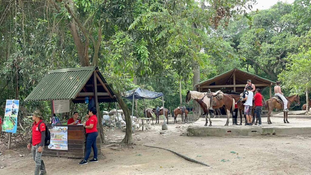 Início da trilha Parque Tayrona