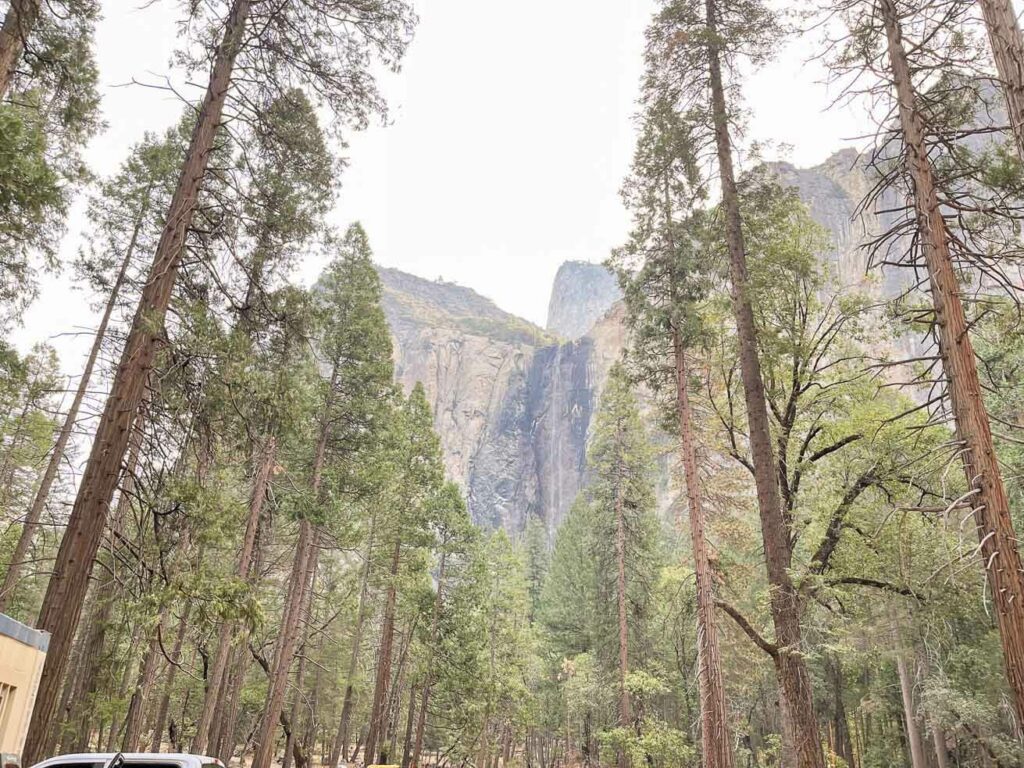 Yosemite Park